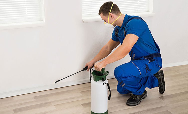 istanbul bina ilaçlama