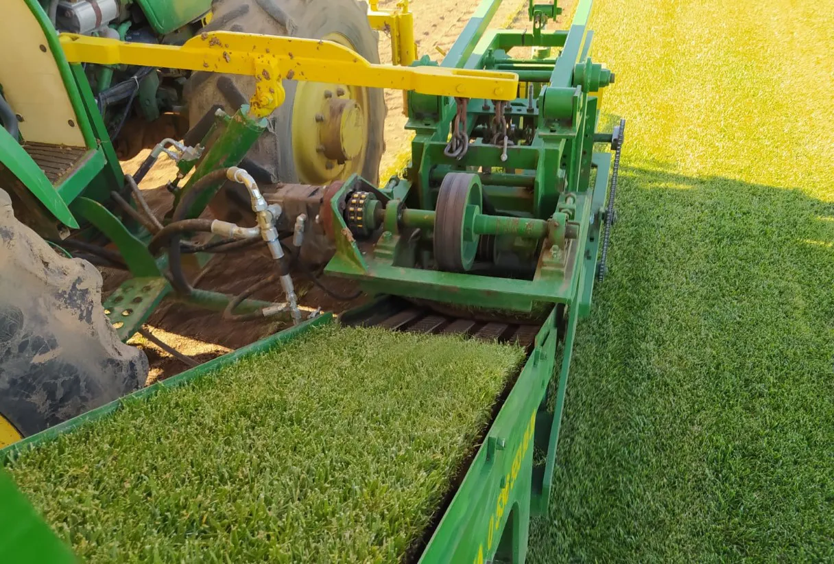 İstanbul Hazır Çim, Rulo Çim