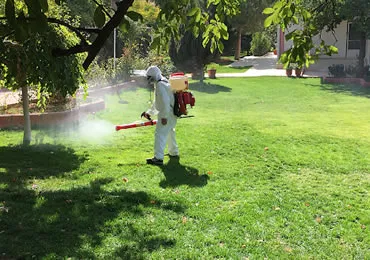 İstanbul Bahçe Bina İlaçlama